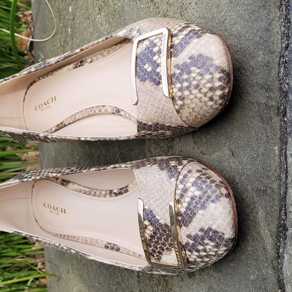 Coach Isla snake print leather pump heels - Picture 4 of 16